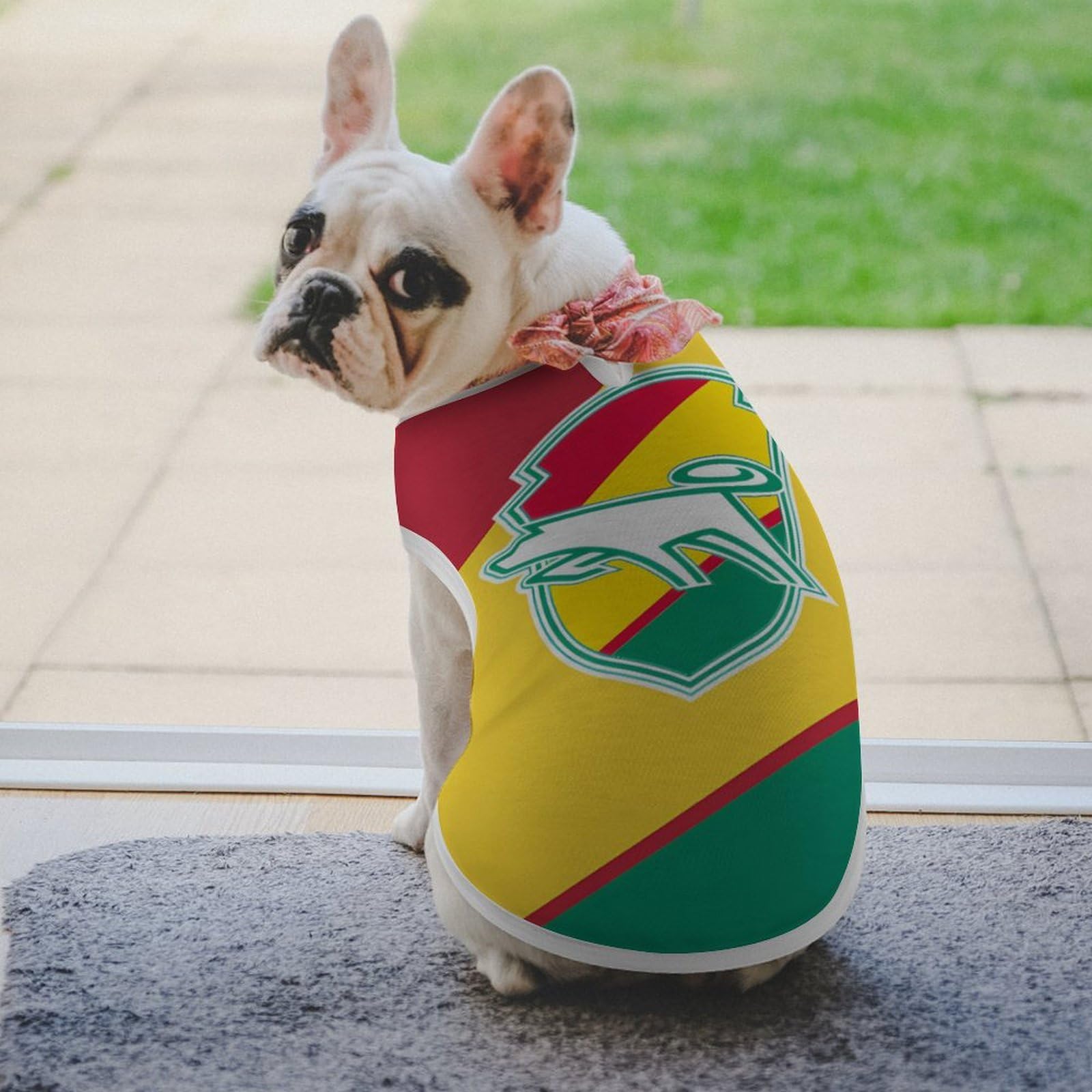 Amazon | ジェフユナイテッド市原・千葉 犬の服 犬服 犬用ベスト